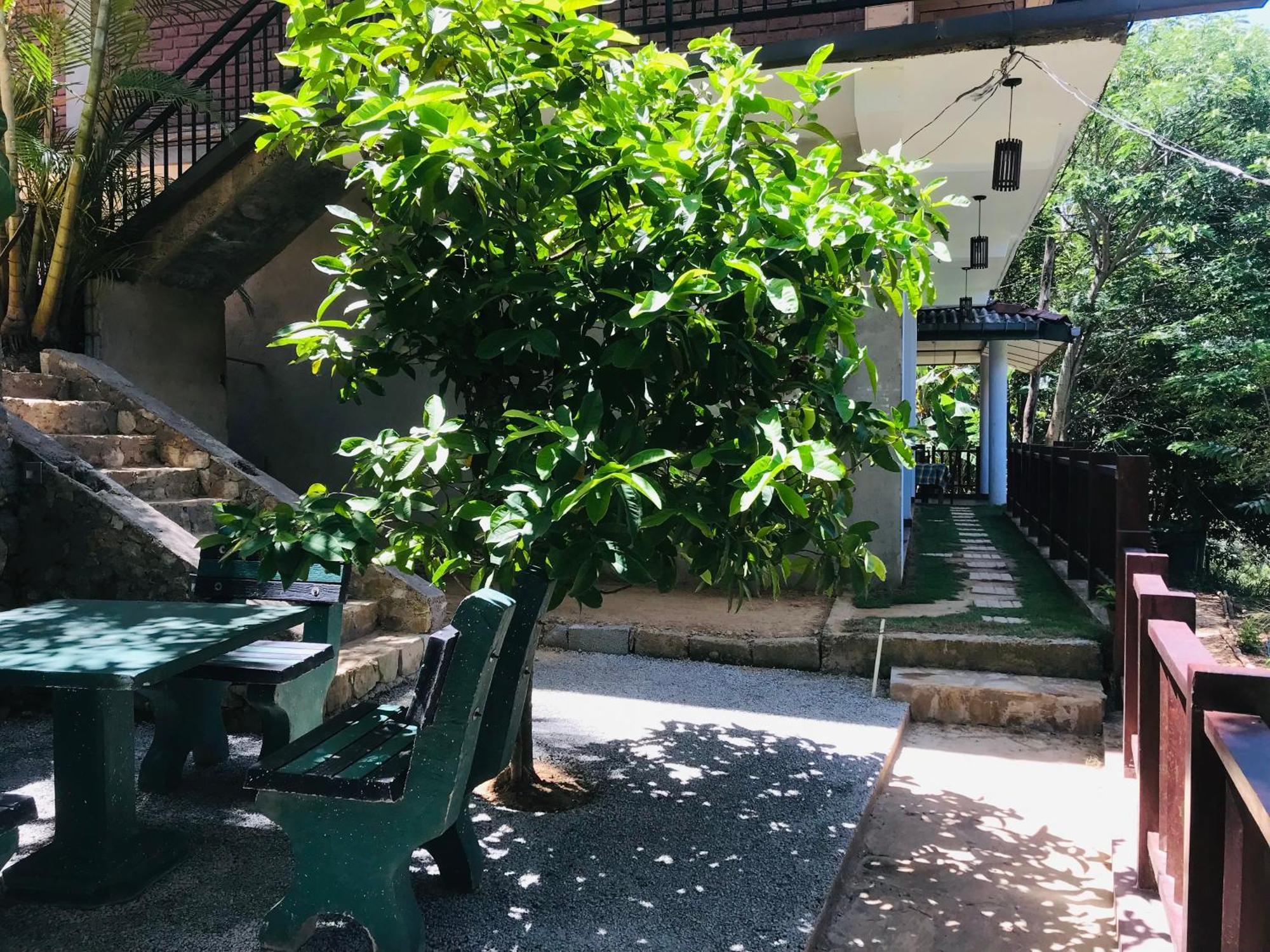 Ridge View Guest House -Ella Exterior photo